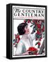 "Picking Pints of Cherries," Country Gentleman Cover, May 19, 1923-Katherine R. Wireman-Framed Stretched Canvas