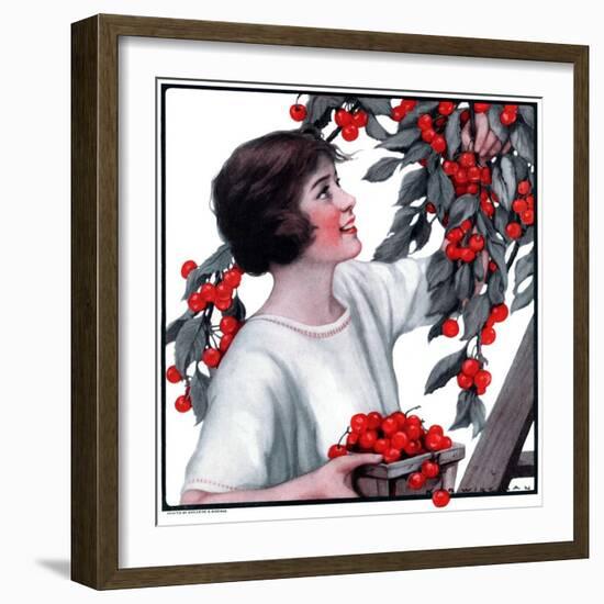 "Picking Pints of Cherries,"May 19, 1923-Katherine R. Wireman-Framed Giclee Print