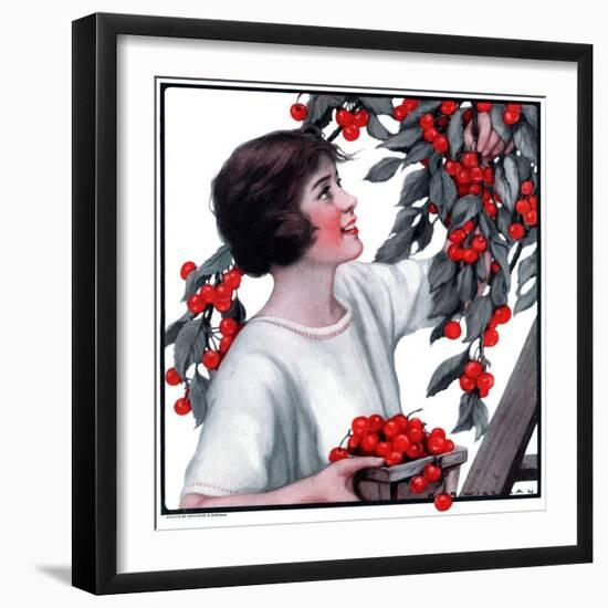 "Picking Pints of Cherries,"May 19, 1923-Katherine R. Wireman-Framed Giclee Print