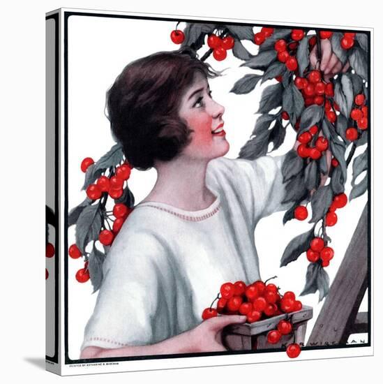 "Picking Pints of Cherries,"May 19, 1923-Katherine R. Wireman-Stretched Canvas