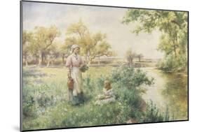 Picking Posies by the River-Alfred Augustus Glendenning-Mounted Giclee Print