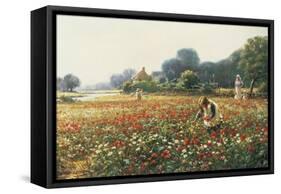 Picking Posies-William Kay Blacklock-Framed Stretched Canvas