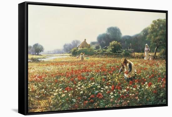 Picking Posies-William Kay Blacklock-Framed Stretched Canvas