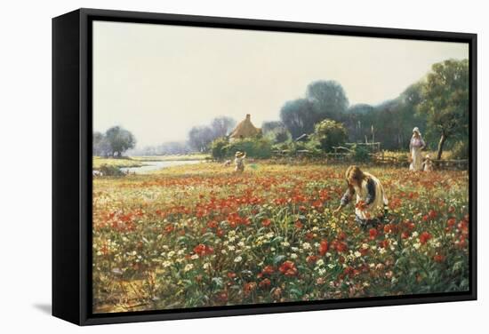 Picking Posies-William Kay Blacklock-Framed Stretched Canvas