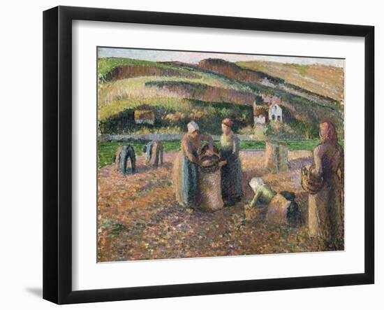 Picking Potatoes, 1893-Camille Pissarro-Framed Giclee Print