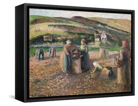 Picking Potatoes. La Recolte Des Pommes de Terre, 1893-Camille Pissarro-Framed Stretched Canvas