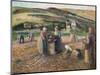 Picking Potatoes. La Recolte Des Pommes de Terre, 1893-Camille Pissarro-Mounted Giclee Print