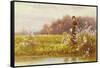 Picking Primroses, 1896-Thomas James Lloyd-Framed Stretched Canvas