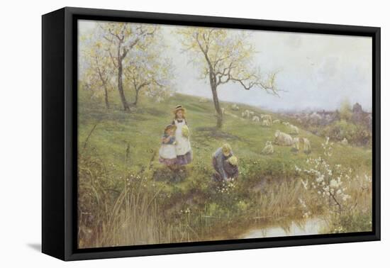 Picking Primroses-Thomas J. Lloyd-Framed Stretched Canvas