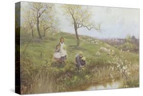 Picking Primroses-Thomas J. Lloyd-Stretched Canvas