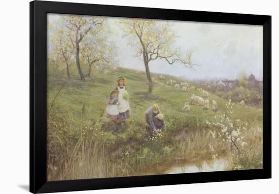 Picking Primroses-Thomas J. Lloyd-Framed Giclee Print