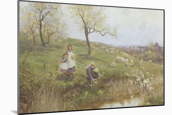 Picking Primroses-Thomas J. Lloyd-Mounted Giclee Print