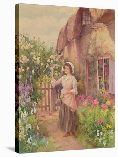 Picking Roses-William Affleck-Stretched Canvas