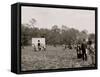 Picking Strawberries, Charleston, S.C.-null-Framed Stretched Canvas