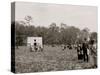 Picking Strawberries, Charleston, S.C.-null-Stretched Canvas