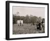 Picking Strawberries, Charleston, S.C.-null-Framed Photo