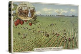 Picking Strawberries-null-Stretched Canvas