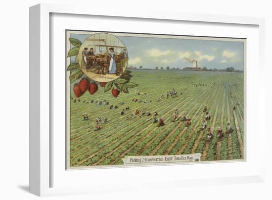Picking Strawberries-null-Framed Giclee Print