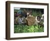 Picking Tea on a Plantation, Bonga Forest, Ethiopia, Africa-D H Webster-Framed Photographic Print