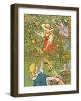 'Picking the Fruit', 1912-Charles Robinson-Framed Giclee Print