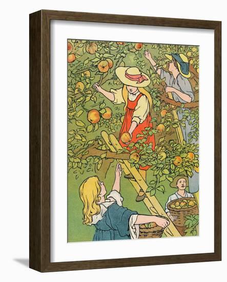 'Picking the Fruit', 1912-Charles Robinson-Framed Giclee Print