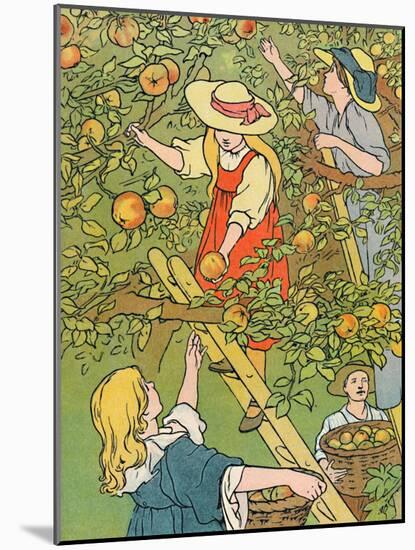 'Picking the Fruit', 1912-Charles Robinson-Mounted Giclee Print