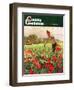 "Picking Tomatoes," Country Gentleman Cover, September 1, 1945-John Clymer-Framed Giclee Print