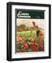 "Picking Tomatoes," Country Gentleman Cover, September 1, 1945-John Clymer-Framed Giclee Print