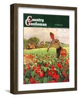 "Picking Tomatoes," Country Gentleman Cover, September 1, 1945-John Clymer-Framed Premium Giclee Print