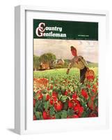 "Picking Tomatoes," Country Gentleman Cover, September 1, 1945-John Clymer-Framed Giclee Print