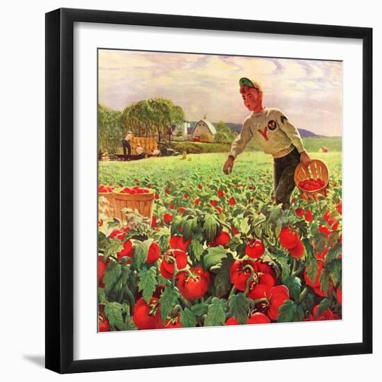 "Picking Tomatoes,"September 1, 1945-John Clymer-Framed Giclee Print