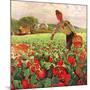 "Picking Tomatoes,"September 1, 1945-John Clymer-Mounted Giclee Print