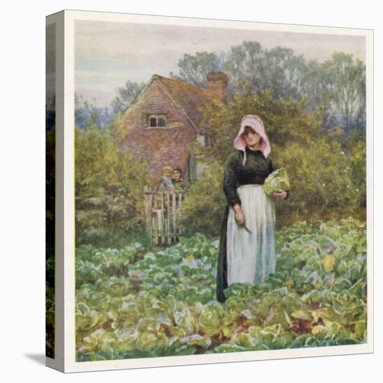 Picking Vegetables in an English Vegetable Garden-Helen Allingham-Stretched Canvas