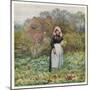 Picking Vegetables in an English Vegetable Garden-Helen Allingham-Mounted Art Print