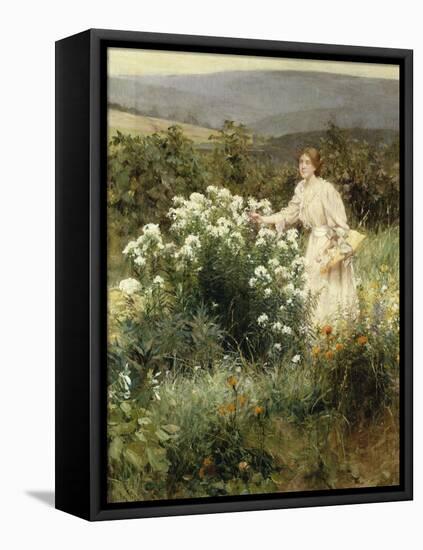 Picking Wild Flowers-Leon Bakst-Framed Stretched Canvas