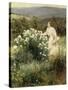 Picking Wild Flowers-Leon Bakst-Stretched Canvas