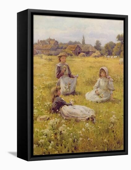 Picking Wild Flowers-William Affleck-Framed Stretched Canvas