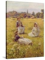 Picking Wild Flowers-William Affleck-Stretched Canvas