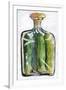 Pickle Jar Painting-Blenda Tyvoll-Framed Art Print