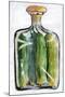 Pickle Jar Painting-Blenda Tyvoll-Mounted Art Print