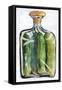 Pickle Jar Painting-Blenda Tyvoll-Framed Stretched Canvas