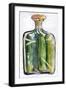 Pickle Jar Painting-Blenda Tyvoll-Framed Art Print