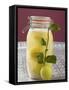 Pickled Lemons in Jar, Small Branch with Fresh Lemon-null-Framed Stretched Canvas