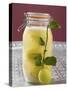 Pickled Lemons in Jar, Small Branch with Fresh Lemon-null-Stretched Canvas