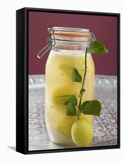 Pickled Lemons in Jar, Small Branch with Fresh Lemon-null-Framed Stretched Canvas