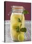 Pickled Lemons in Jar, Small Branch with Fresh Lemon-null-Stretched Canvas