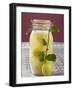 Pickled Lemons in Jar, Small Branch with Fresh Lemon-null-Framed Photographic Print