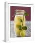 Pickled Lemons in Jar, Small Branch with Fresh Lemon-null-Framed Photographic Print