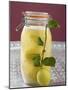 Pickled Lemons in Jar, Small Branch with Fresh Lemon-null-Mounted Photographic Print