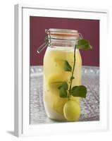 Pickled Lemons in Jar, Small Branch with Fresh Lemon-null-Framed Photographic Print